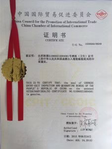 About Us name (1)