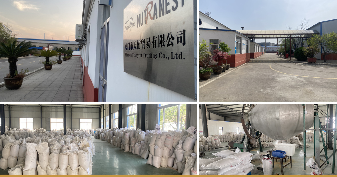 Xiamen Tianyou Trading Co., Ltd. facility, warehouse and production equipment